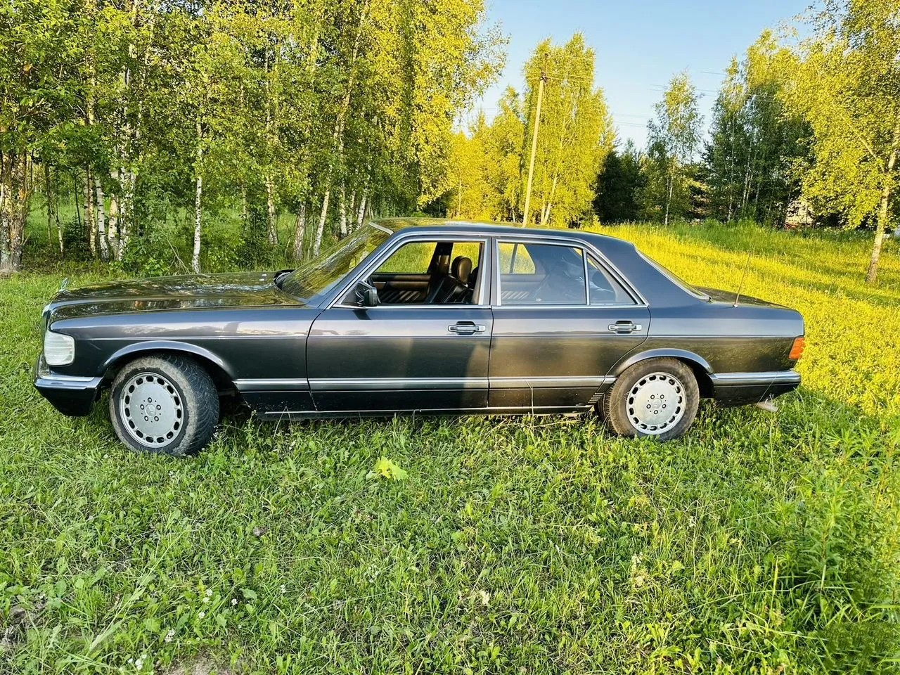 Mercedes-Benz S-класс 2.8_1983 — фото 8